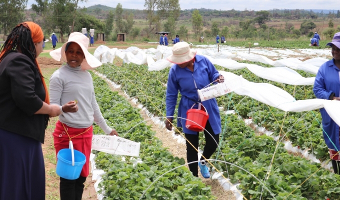 How to Select the Right Farm Enterprise: Key Factors to Consider